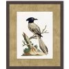 'Woodland Perch 4' By Nathan Turner Framed Art