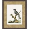 'Woodland Perch 5' By Nathan Turner Framed Art