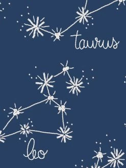 'Zodiac' Wallpaper By Lingua Franca- Midnight Blue -Wall Decoration Store Zodiac MidnightBlue Detail